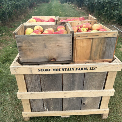 Apple Crate