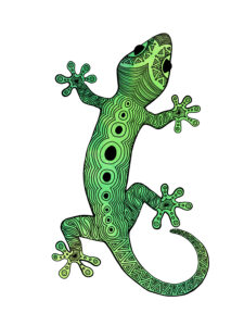 Island Roots Design - Salamander