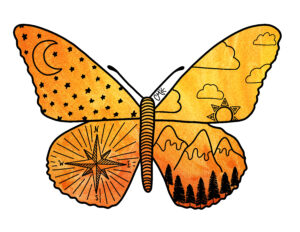 Island Roots Design - Butterfly
