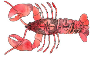 Island Roots Design - Lobster