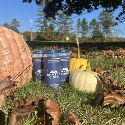 Fall Blueberry Cider