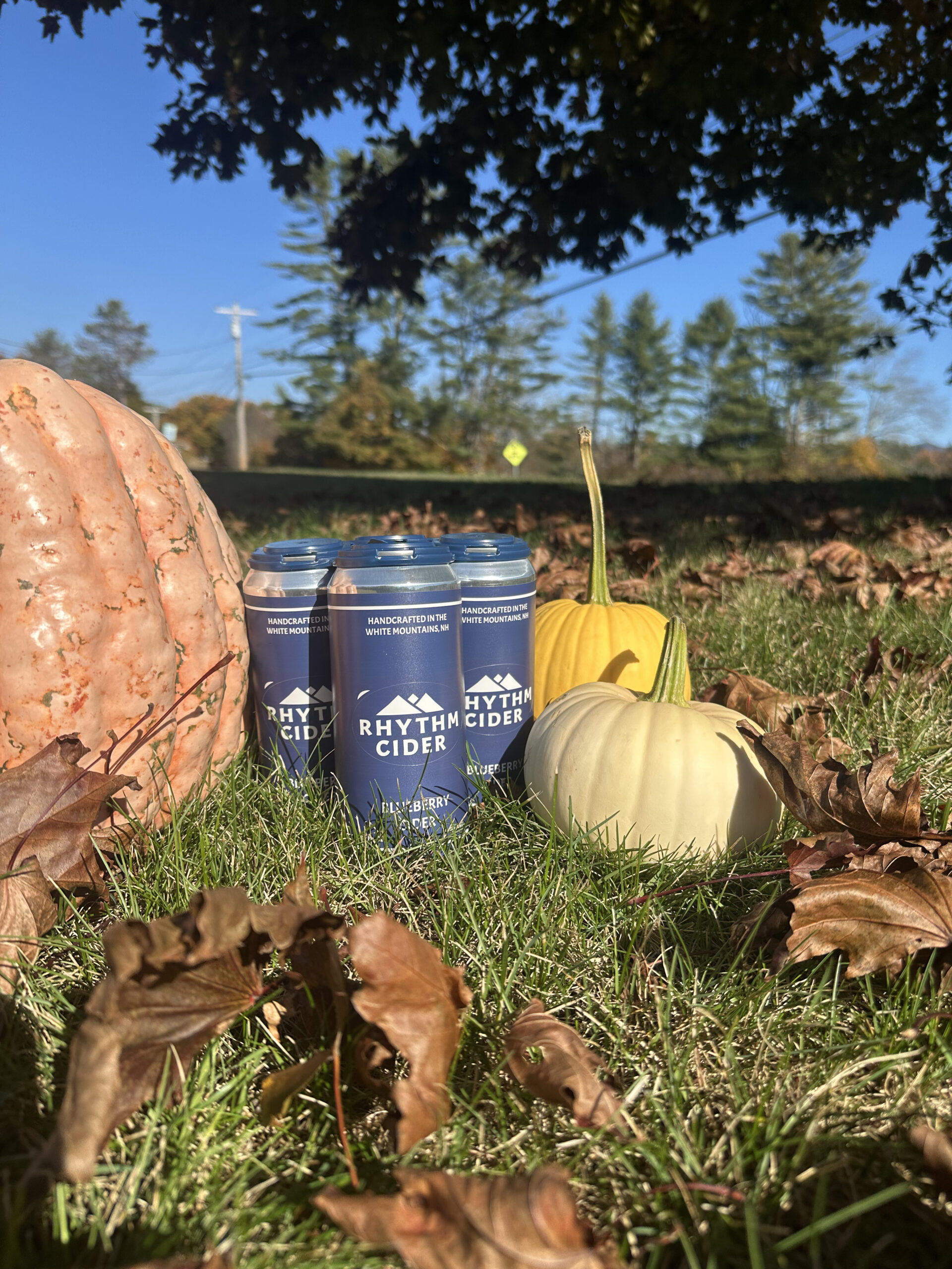 Fall in the White Mountains