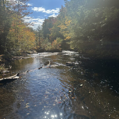 Fall Stream