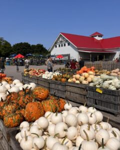 Applecrest Harvest Festival